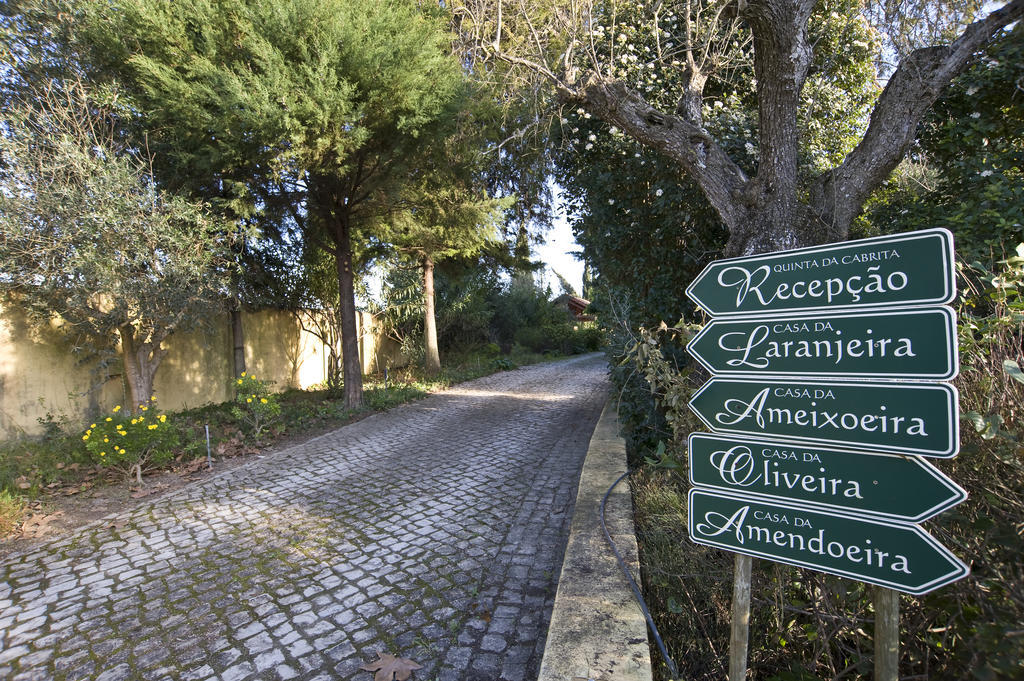 Quinta Da Cabrita Villa ซานตาเร็ง ภายนอก รูปภาพ