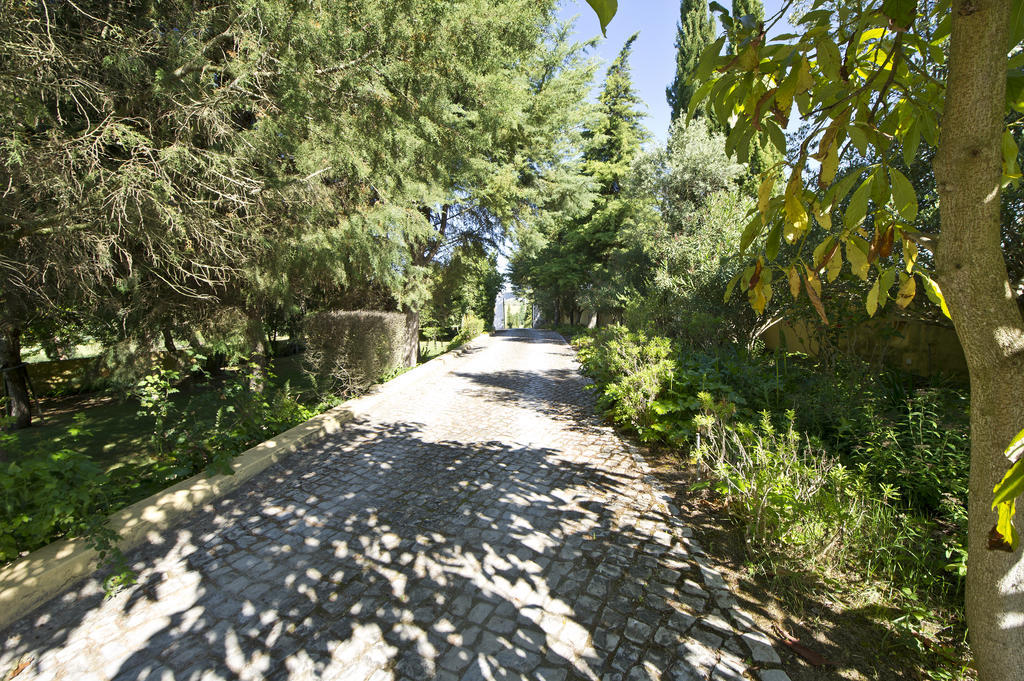 Quinta Da Cabrita Villa ซานตาเร็ง ภายนอก รูปภาพ