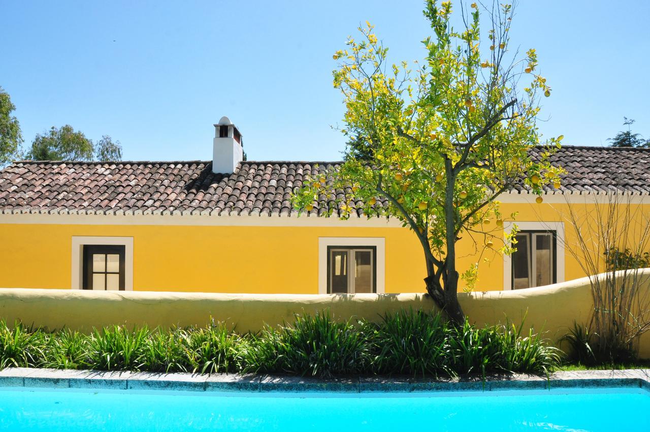 Quinta Da Cabrita Villa ซานตาเร็ง ภายนอก รูปภาพ