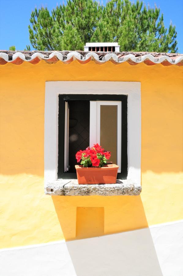 Quinta Da Cabrita Villa ซานตาเร็ง ภายนอก รูปภาพ